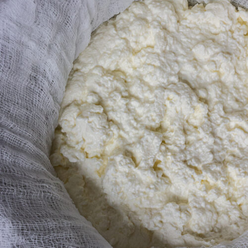 Homemade ricotta deals